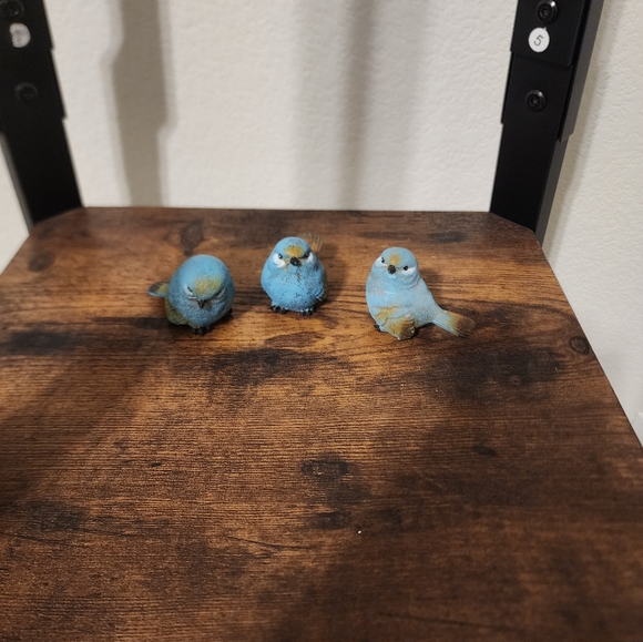 Set of 3 birds - Picture 1 of 10